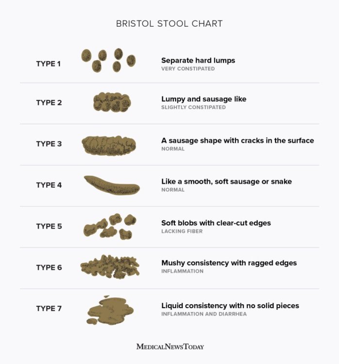 15970-bristol-stool-chart-1296x1394-english-body-952x1024.jpg