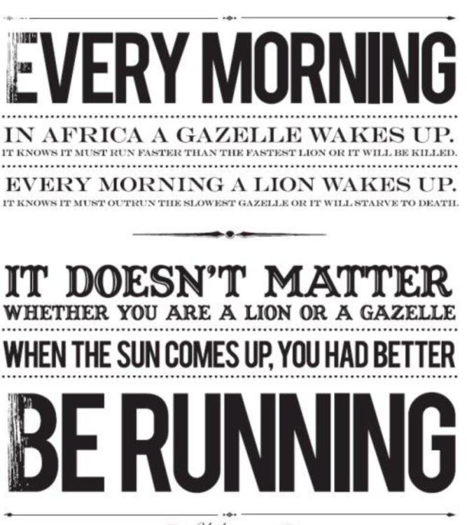 Screenshot 2022-11-24 at 15.41.49.png