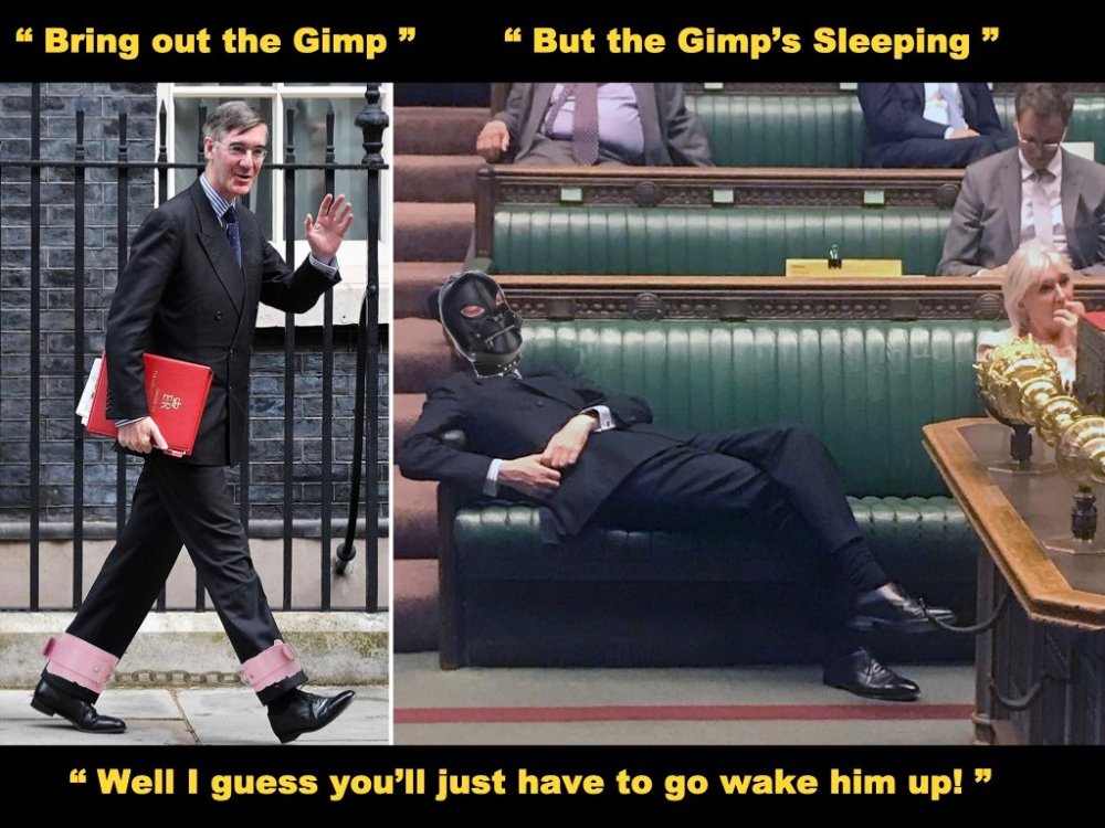 Reece Mog Gimp - quotes.jpeg