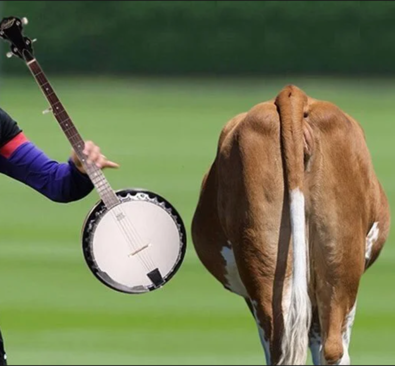 Screenshot 2023-09-02 at 13.56.19.png