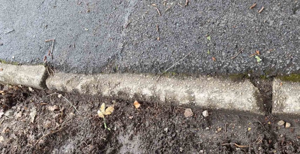Kerb 1 smaller.jpg