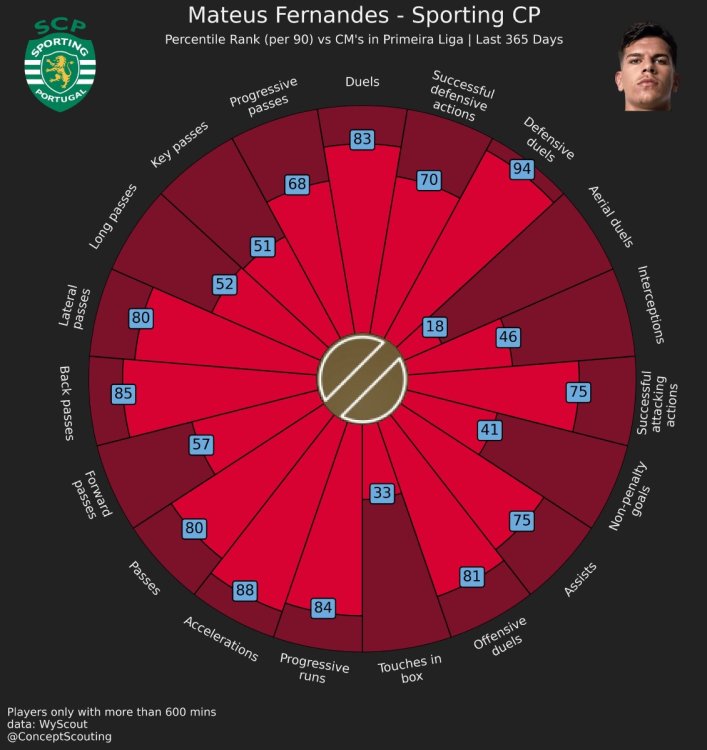 mateus fernandes.jpeg