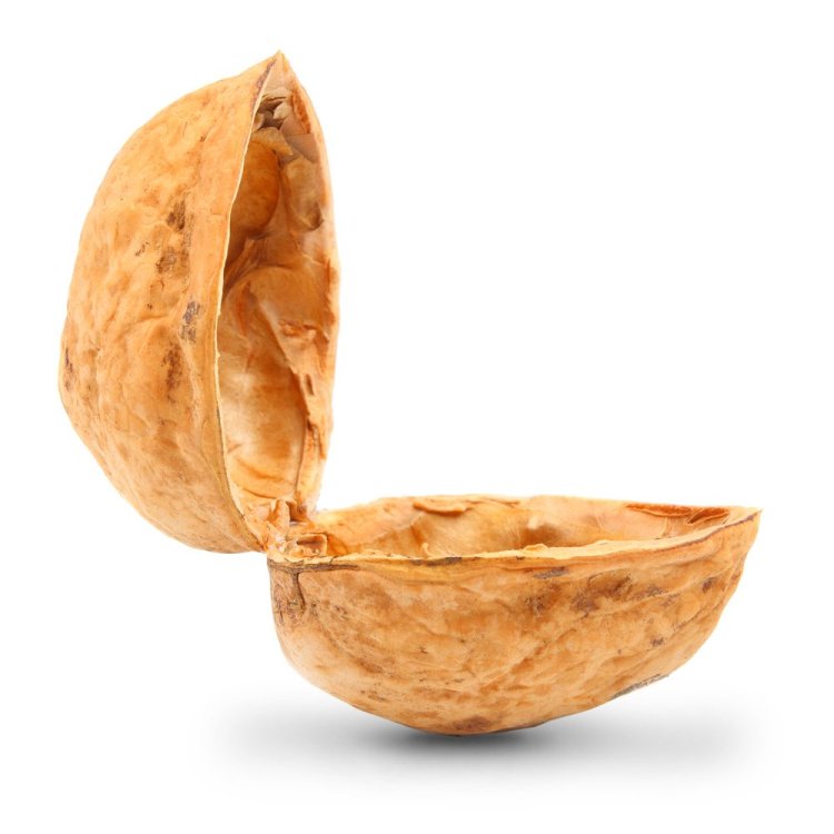 nutshell_115700821 (3).jpg