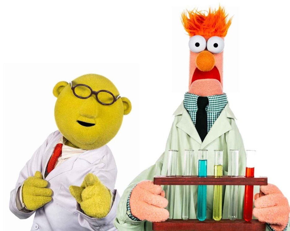 Bunsen and Beaker 2_jpg_large.jpg