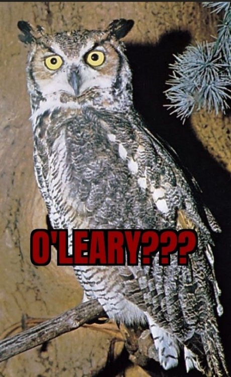 Screenshot_20251117-201211_Meme Generator.jpg