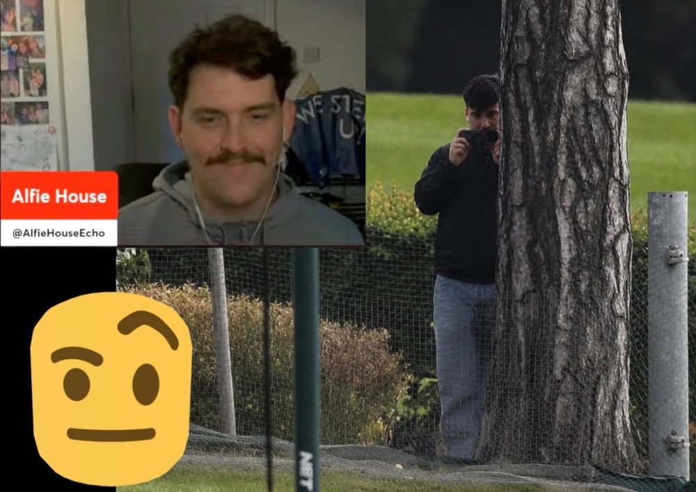 Alfie_001.thumb.jpeg.95fb413adf72df4906d2e51d1f8eab32.jpeg