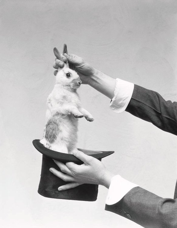 magician-pulling-rabbit-out-of-hat-h-armstrong-roberts.thumb.jpg.c0bdb75342c6ddbc1286b777af519151.jpg