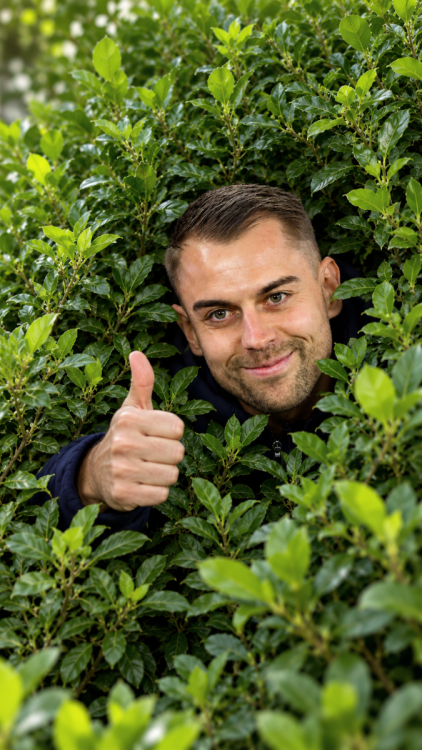 Thums Up from the Hedge.png